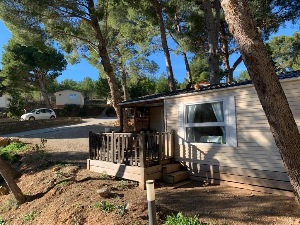 Camping Le Bois De Pins Salses-le-Chateau Exterior foto